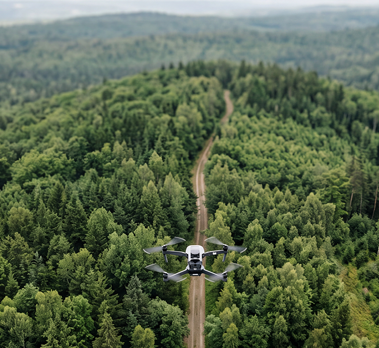 Image for Forestry Gears Up for a Technology Revolution