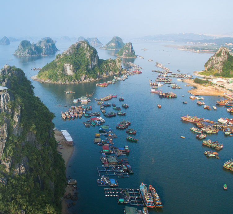 High Growth Opportunities in a Low Growth World about High Growth Opportunities in a Low Growth World