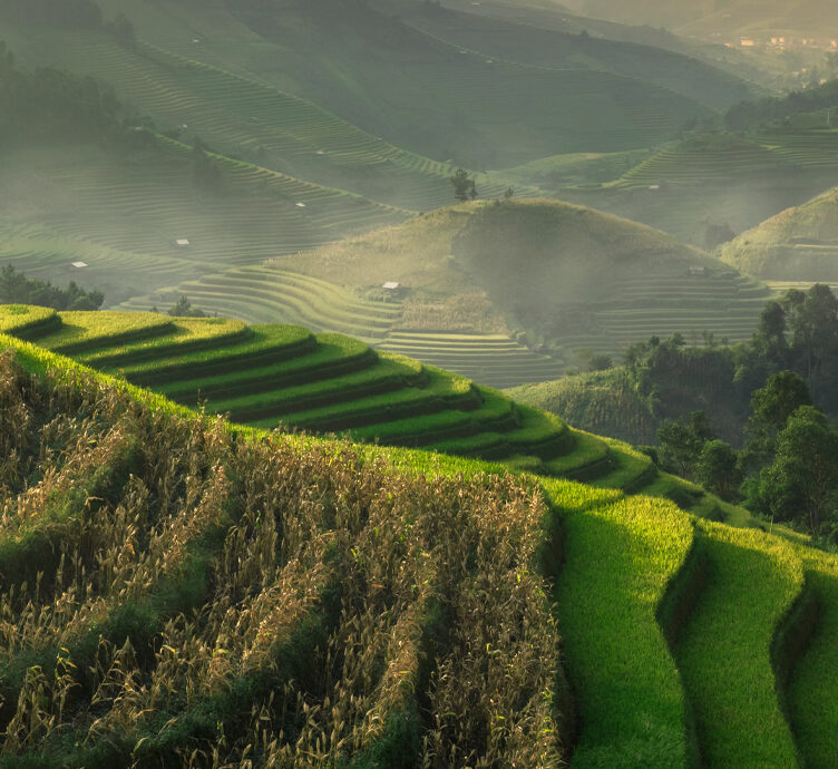 Evolving Country Concentration in Emerging Market Indices – Opportunities for Investors about Evolving Country Concentration in Emerging Market Indices – Opportunities for Investors