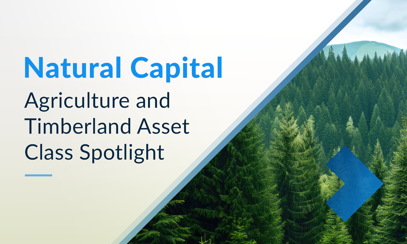 Image for Natural Capital: Agriculture and Timberland Asset Class Spotlight