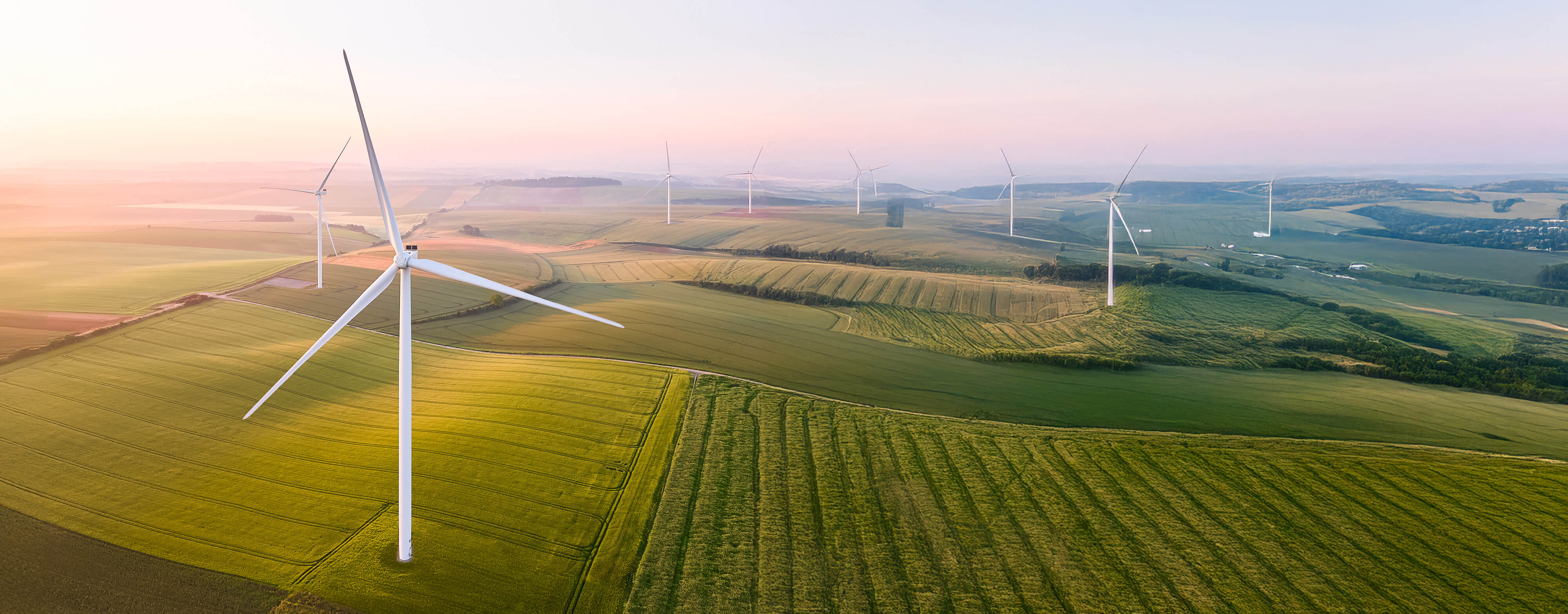 Image for Sustainability